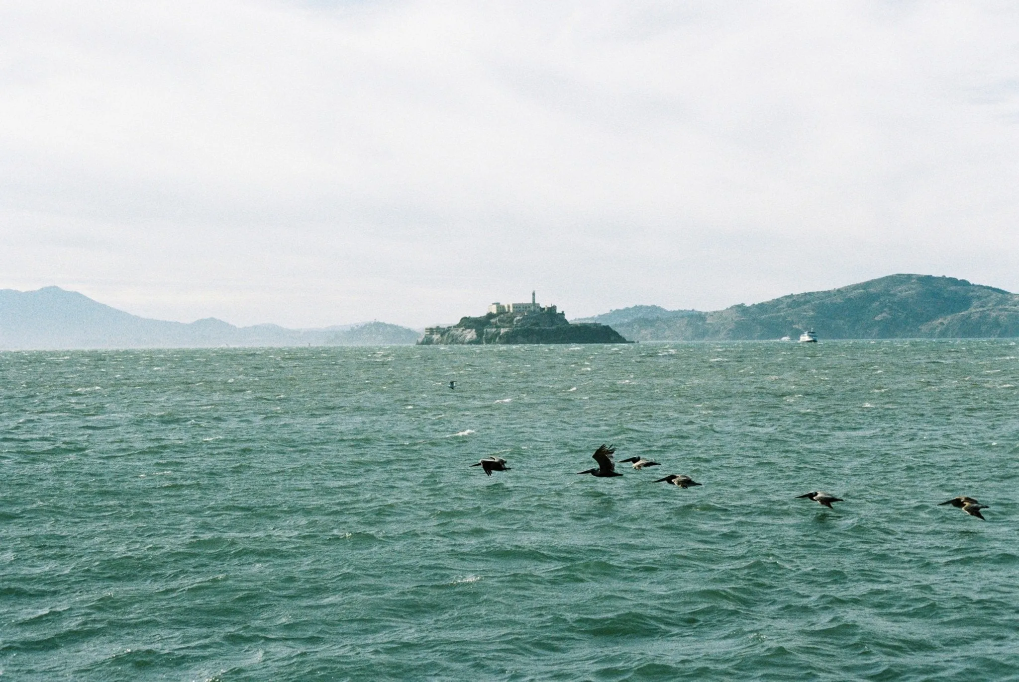 35mm/120 Colour Film (C41 & Disposable cameras) Development