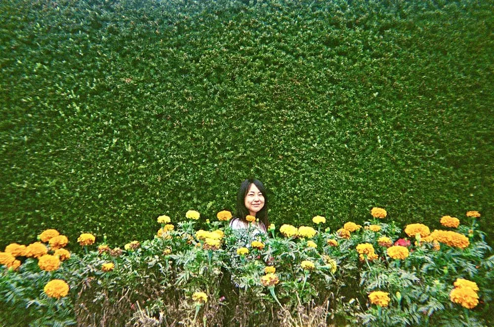 Ilford  :: Color :: 35mm Single Use Camera