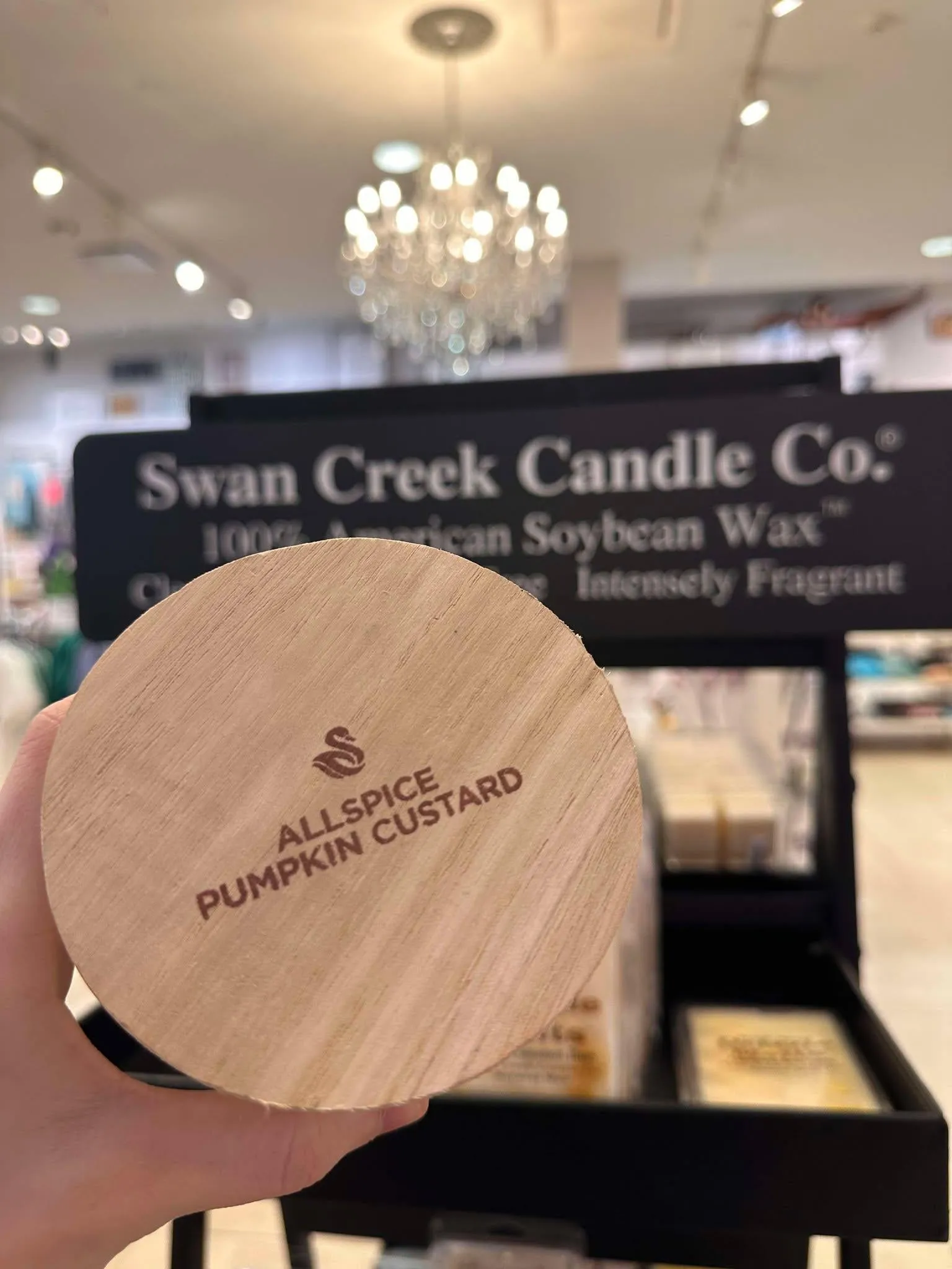 Swan Creek ALLSPICE PUMPKIN CUSTARD Timeless Jar Candle
