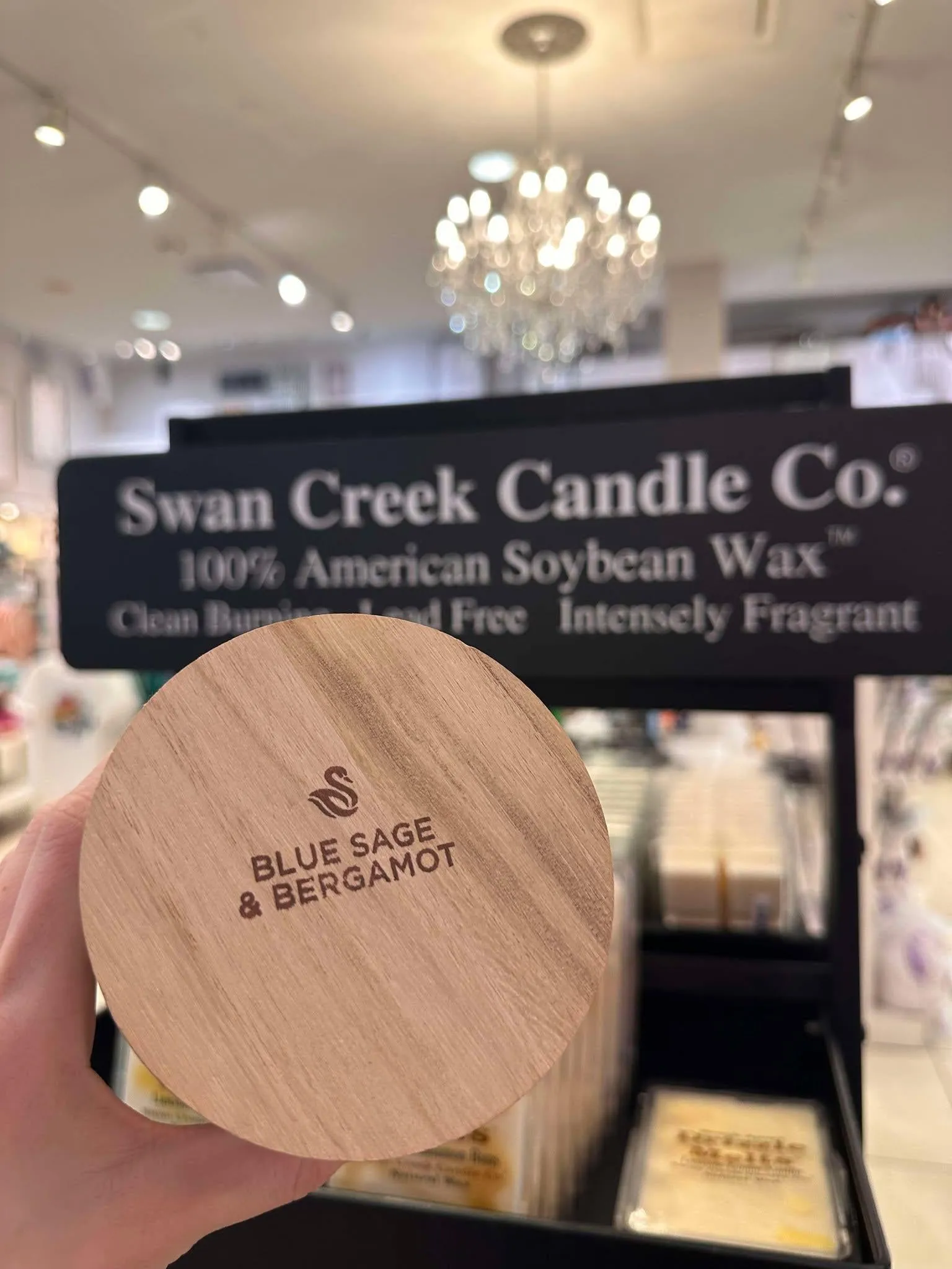 Swan Creek BLUE SAGE & BERGAMOT Timeless Jar Candle