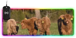 VKPSCHJ Mouse Pad with Wireless Charger 15W Extra Large for Gaming,Highland Cattle Calves PC,Laptop,Desk, Animal Family RGB Glowing Computer Keyboard Mats Pads Non-Slip for Home & Office