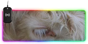 VKPSCHJ Mouse Pad with Wireless Charger 15W Large for Gaming,White Hairy Highland Cow PC,Laptop,Desk, RGB Glowing Computer Keyboard Mats Pads Non-Slip for Home & Office